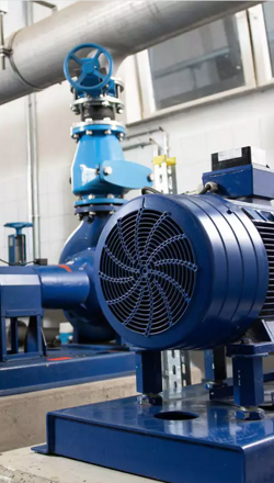 schermata 2026-01-16 alle 01